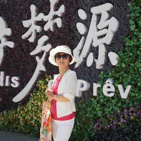 寻梦源_普罗旺斯薰衣草