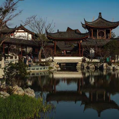 新年散步【申园】 （一）