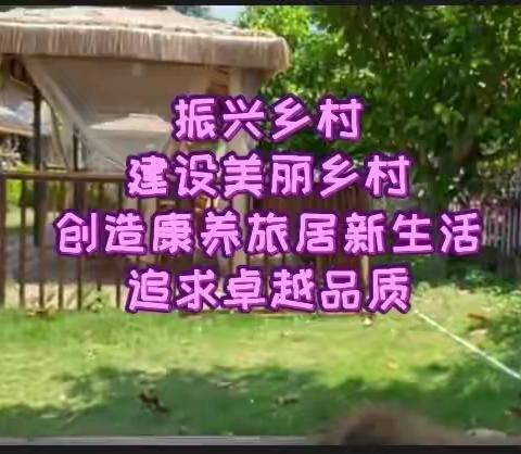 振兴乡村——盛世美女荟房车俱乐部康养旅居新家园