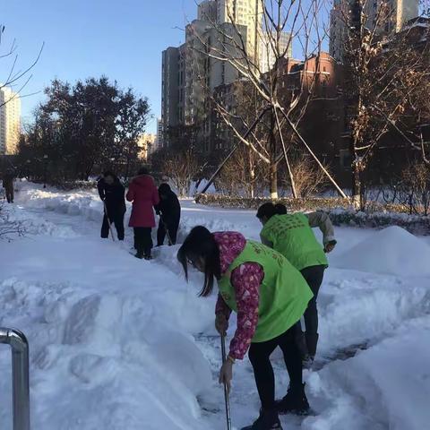 群力街道贝肯山社区“清雪除冰”学雷锋志愿服务活动