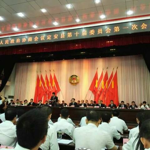 民革定安支部积极参加定安两会，为定安发展献言献策。