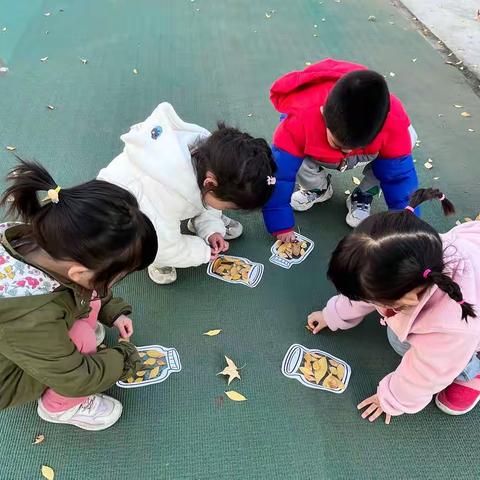 🍁幼儿园的秋天🍁