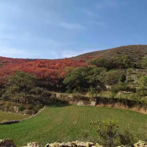 同样的大山，别样的班级---茨芭双语七年二班