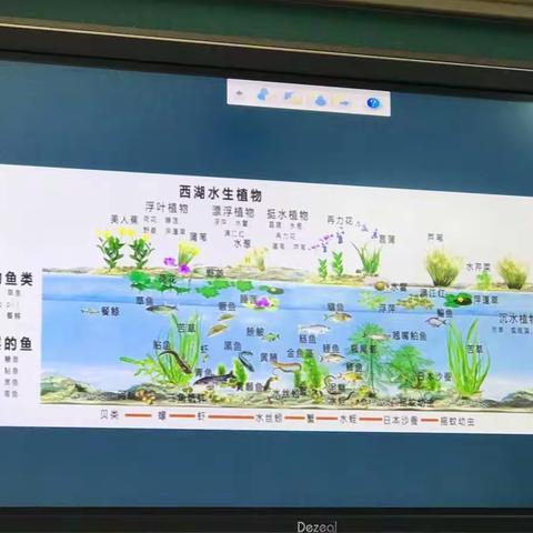 【李建英 宋明杨】研学旅行之初体验