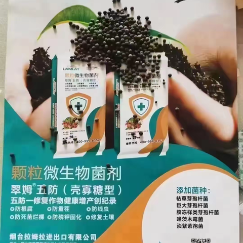 拉姆拉颗粒微生物菌剂----破局贵州烤烟重茬问题