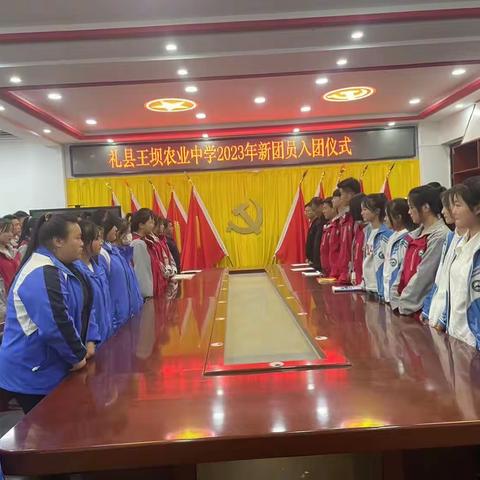 “三抓三促”新团员入团仪式