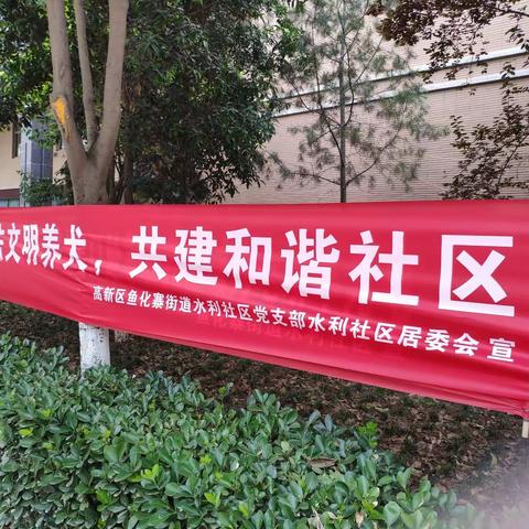 争做文明养犬人，共铸和谐社区魂