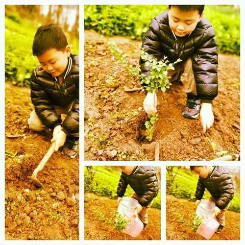 我的“劳动节”