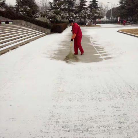 降瑞雪喜迎新春，保后勤扫雪除尘——市局机关服务中心做好新年上班保障工作