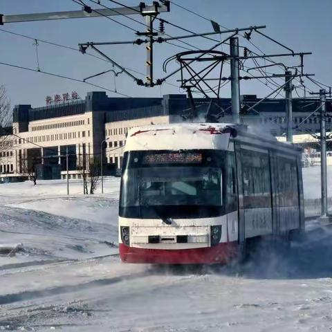 南湖诗友 咏初雪