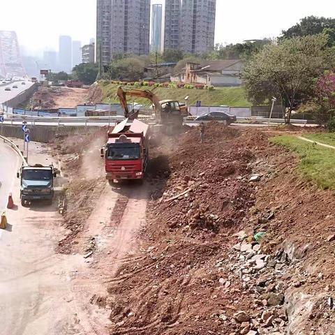 为南岸区“三生三宜”品质城市建设添砖加瓦，绿化品质提升工程建设如火如荼！