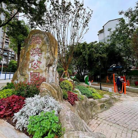 以“绿色”为基底，描绘多彩南岸