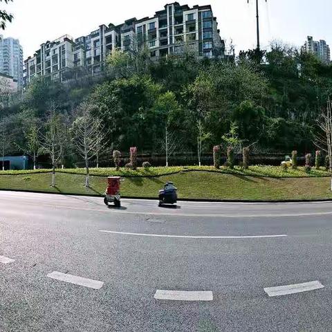 砥砺奋进，明确职责，南岸区全区联动强力推进城市绿化品质提升工作