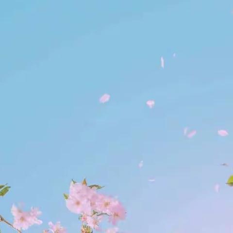 停课不停学    成长不停歇