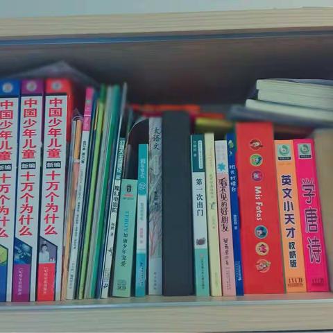 东盛小学六年级三班：王欣彬同学读书计划案