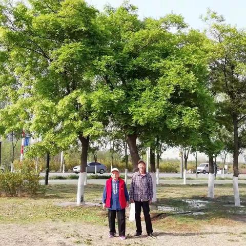 渭河踏青逍遥游