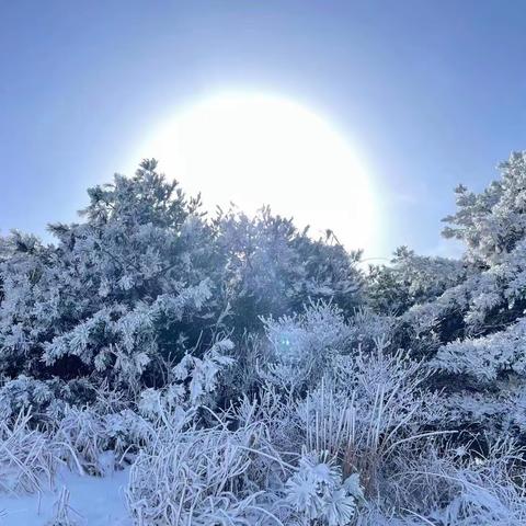 祖国的美丽山河