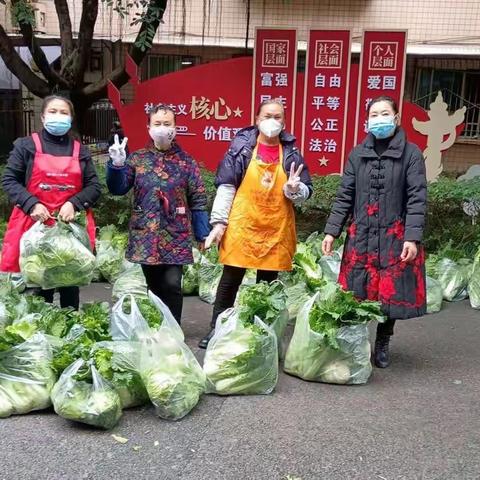 爱心蔬菜进先锋  真情服务暖人心