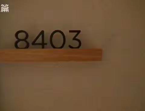 摄影与点评艺术