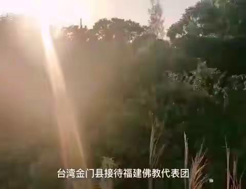 无忧的美篇
