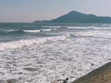 摄影与点评艺术