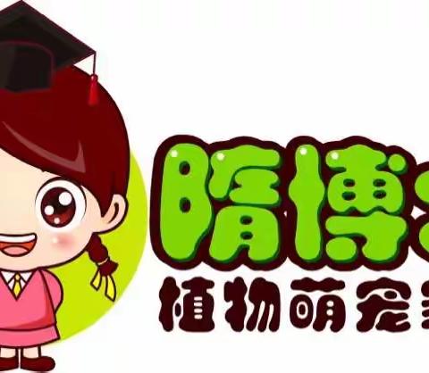 小梅的创业故事