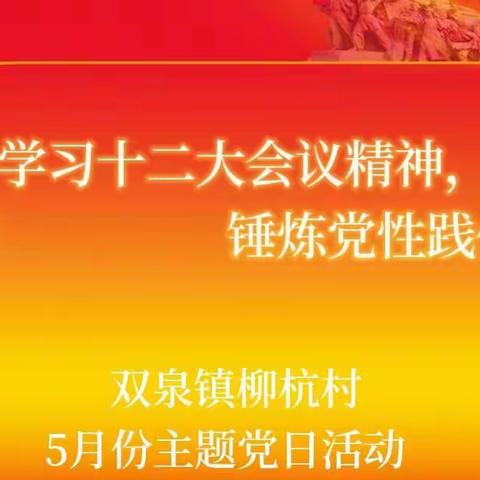 “学习十二大会议精神，锤炼党性践使命”之双泉镇柳杭村5月份主题党日活动