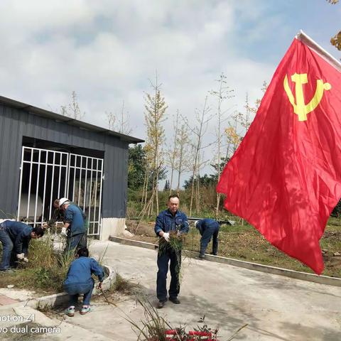 义务劳动作表率 党员奉献展风采