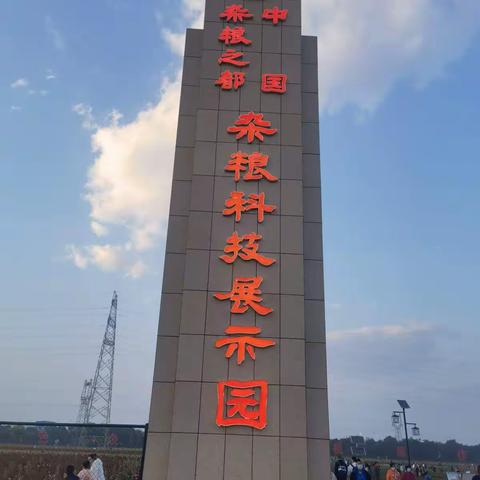 【北中311班闫家赫】礼赞丰收