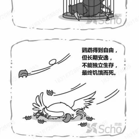 《乌鸦与鹦鹉》漫画心得