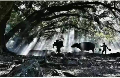 快刀盟第三十五辑《农妪集》