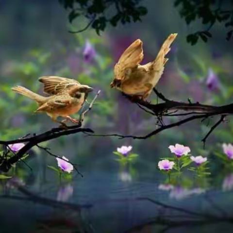 快刀盟第二十六辑《桃思集》