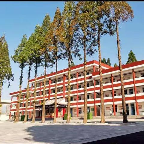 魅力笔尖，“英”你精彩｜徐州市荆山小学最美英文书写比赛