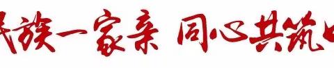 “中华民族一家亲，同心共筑中国梦”——洪山镇民族团结进步宣传活动总结