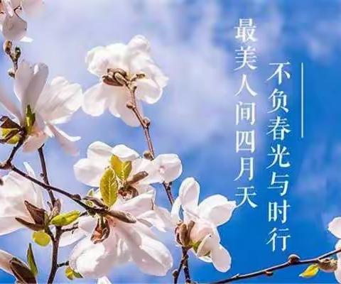 专业引领，携手并进。——南湖行知学校送教大桥镇凌山小学公益活动