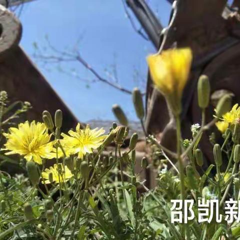 用镜头留住多彩的时光——瓦房庄小学摄影社团活动纪实
