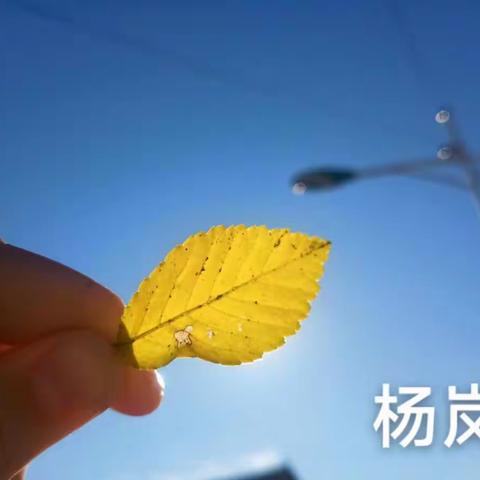 瓦房庄小学摄影社团活动纪实