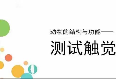 安各庄镇霍庄完全小学——探知未来STEM科学