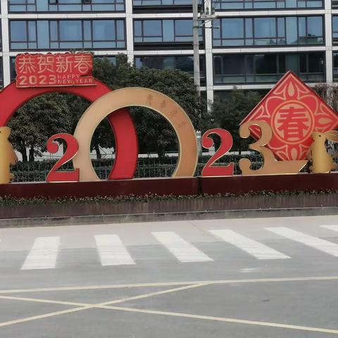 2023年2月份工作总结（区政府服务项目）
