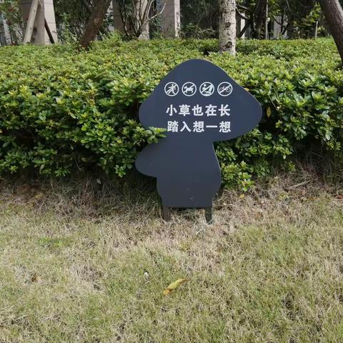 八月份工作总结（区政府物业服务项目）