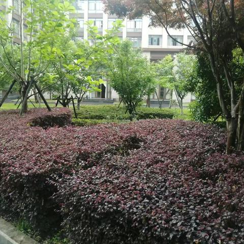 2022年5月份工作总结（区政府服务项目）