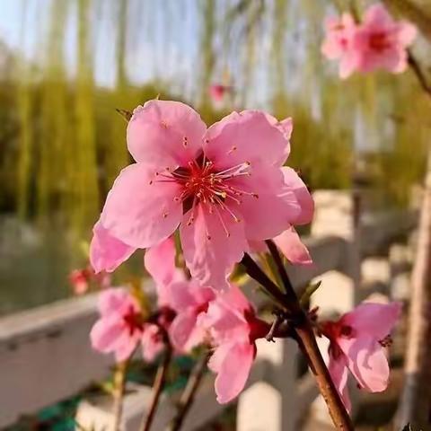 2022年4月份工作总结（区政府服务项目）