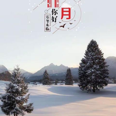 2022年11月份工作总结（区政府服务项目）