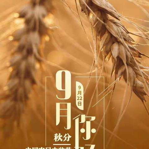2022年9月份工作总结（区政府服务项目）