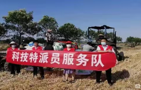 抗旱抢种科技特派员在行动