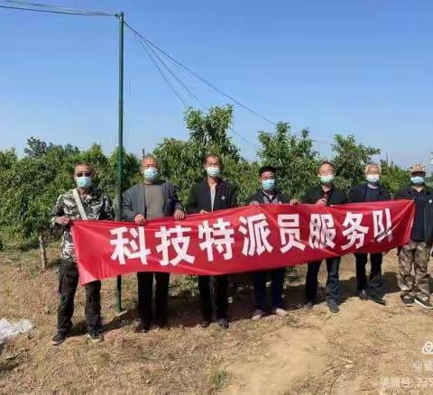 实现乡村振兴，科技下乡“正当时”