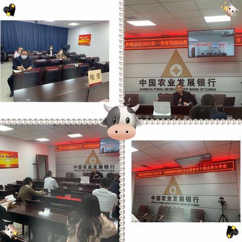 哈密市分行召开2021年一季度数据治理暨青年干部业务交流会