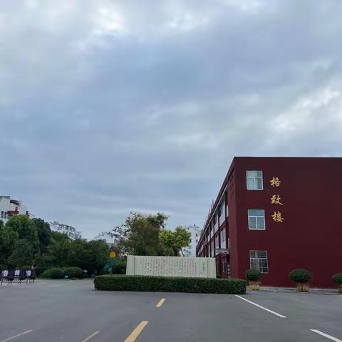 党员示范当先锋 志愿服务在行动——台儿庄区实验小学党支部扎实推进“双报到”工作