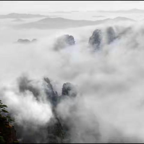 观山雨寄