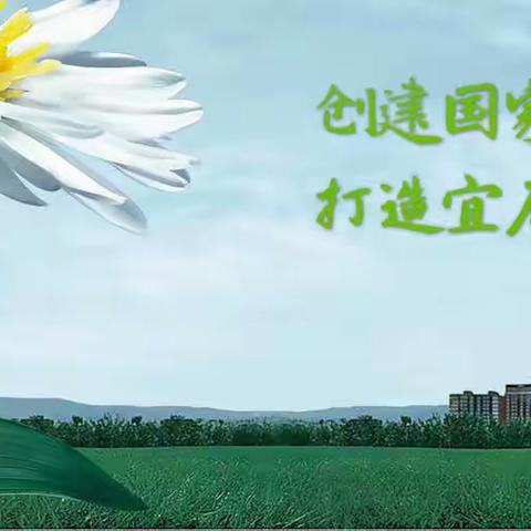 创卫人人知（三）